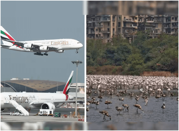 Emirates: Aircraft and Passengers Safe After Flamingo Incident
